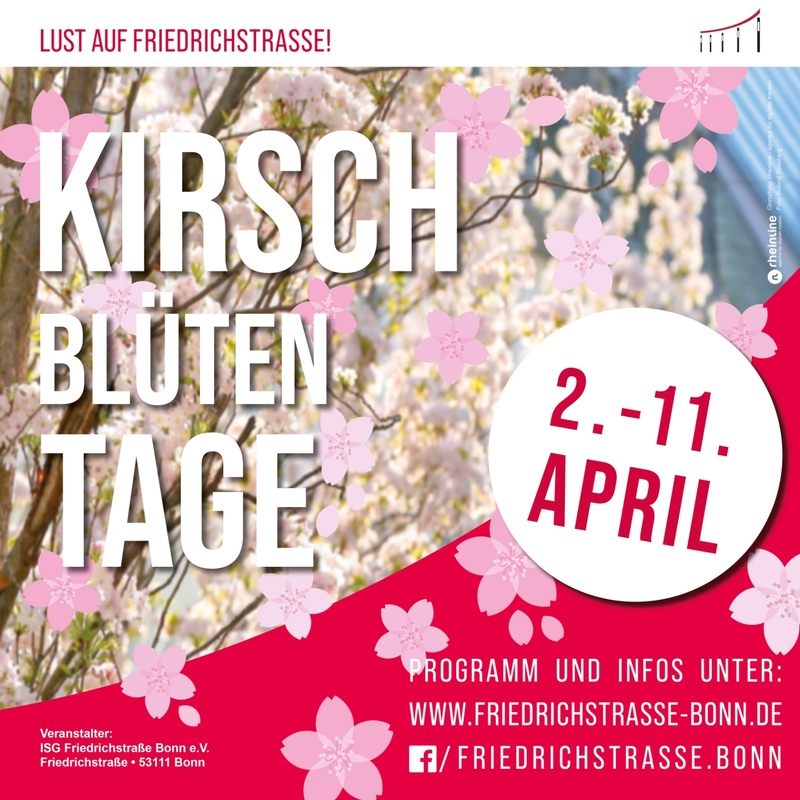 Kirschblütentage in der Friedrichstrasse