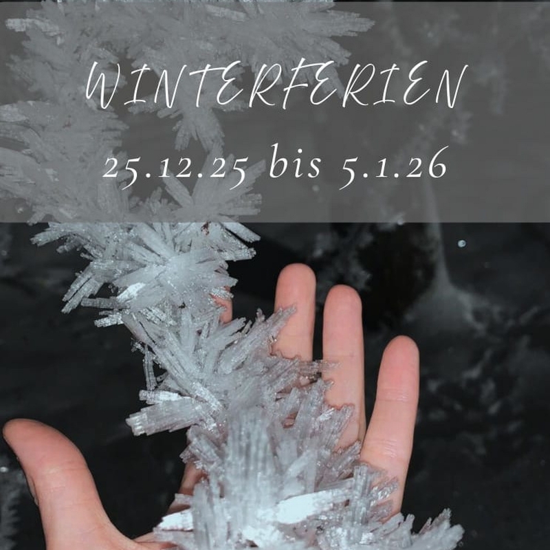 Hand mit vereistem Zweig mit Eiskristallen